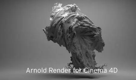 Solid Angle Cinema4D To Arnold 2.2.1 for Cinema4D R17-R19