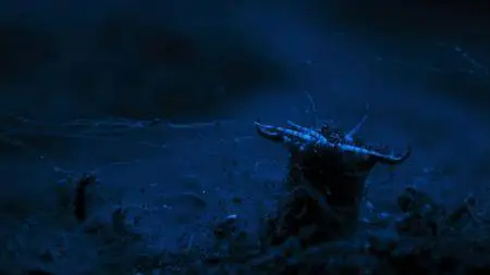 Blue Planet II S01E01