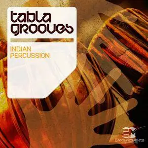 EarthMoments - Tabla Groove Indian Percussion WAV