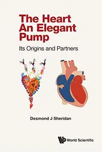 The Heart — An Elegant Pump: Its Origins and Partners