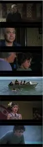 Whale Rider (2003) [w/Commentary]