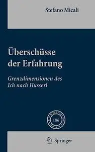 Überschüsse Der Erfahrung: Grenzdimensionen des Ich nach Husserl