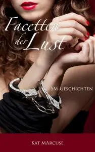Facetten der Lust - SM-Geschichten