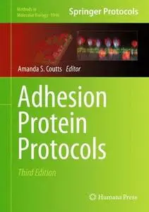 Adhesion Protein Protocols (Repost)