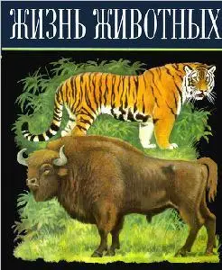 Жизнь животных, том 6
