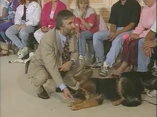 Training The Companion Dog (Set of 4 DVDs)