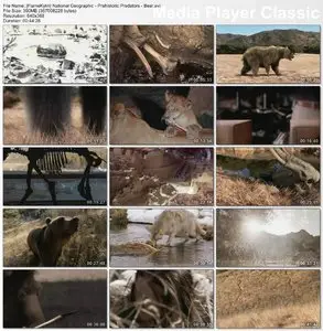 National Geographic - Prehistoric Predators: Bear (2007)