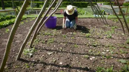BBC - A Year in an English Garden: Flicker and Pulse (2017)