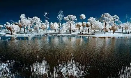Intro to Infrared Photography