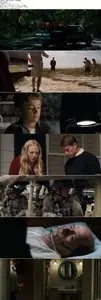Dear John (2010)