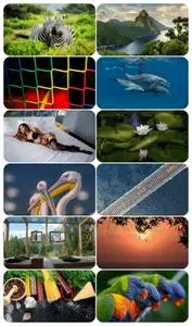 Beautiful Mixed Wallpapers Pack 958