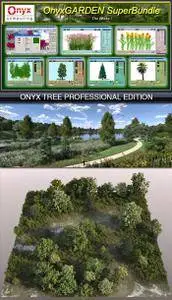 Onyx Tree Professional Suite 6 (Win)