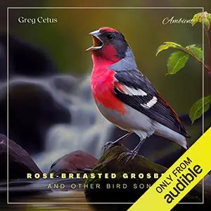 Rose-Breasted Grosbeak and Other Bird Songs: Atmospheric Audio for Productivity and Focus [Audiobook]