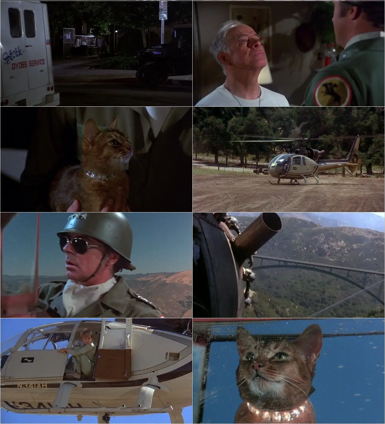 The cat from outer space 1978 avaxhome