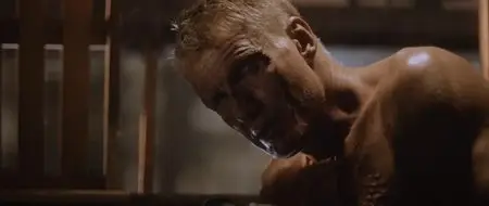 Skin Trade (2014)