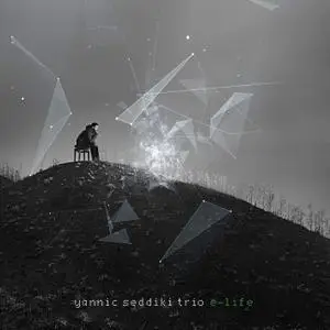 Yannic Seddiki Trio - E-Life (2020) [Official Digital Download 24/88]