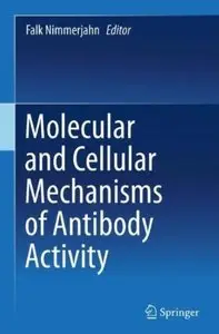 Molecular and Cellular Mechanisms of Antibody Activity [Repost]