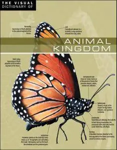 The Visual Dictionary of Animal Kingdom