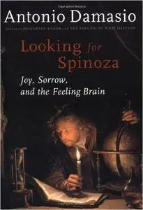 Looking for Spinoza: Joy, Sorrow, and the Feeling Brain (Repost)