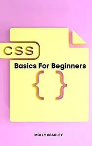 CSS Basics For Beginners