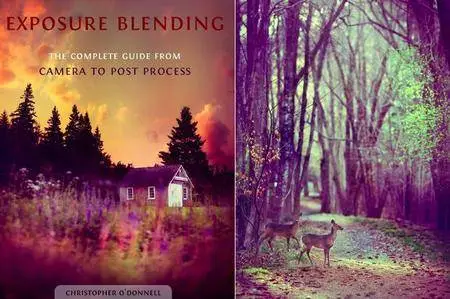 Exposure Blending Course