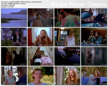 (Drame) WILDFLOWERS [DVDrip] 1999
