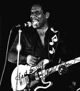 Johnny Copeland - Texas Twister (1986)