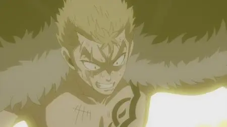 Fairy Tail 081-090 (2014)