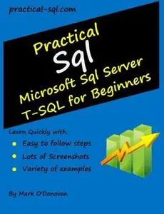 Practical SQL: Microsoft SQL Server T-SQL for Beginners (2nd edition)