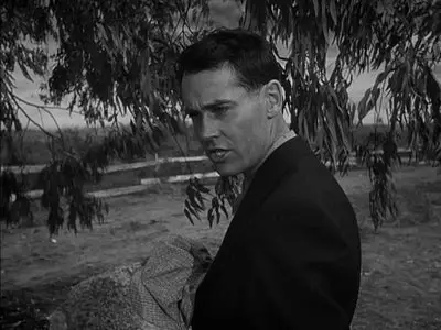 The Grapes of Wrath (1940) [Re-UP]