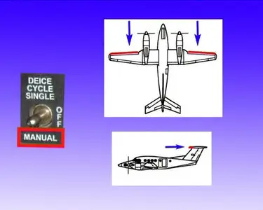 VIDEOFLYREC : BEECHCRAFT B200 SUPER KING AIR : DVD