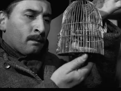 Il cappotto (1952)