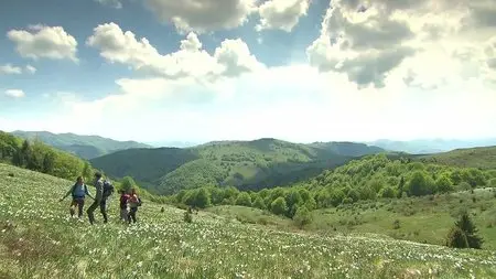 Wild Carpathia (2011)