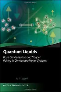 Quantum Liquids: Bose Condensation and Cooper Pairing in Condensed-Matter Systems