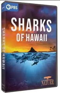 PBS - NATURE: Sharks of Hawaii (2021)