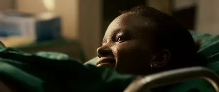 La vita facile (2011)