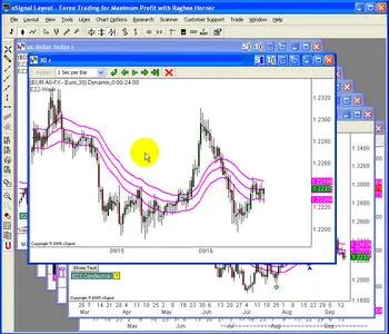 Raghee Horner Forex trader Package [repost]