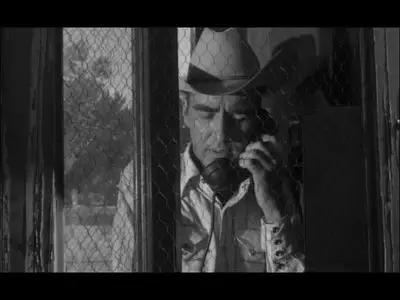 The Misfits (1961)