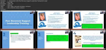 Leadership: Recovery Coach And Drug Counseling Leadership