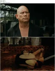The Fighter (1989)