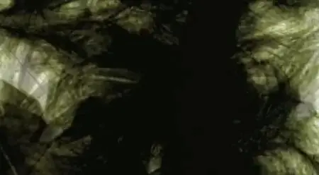 Split Second Murders (2009)