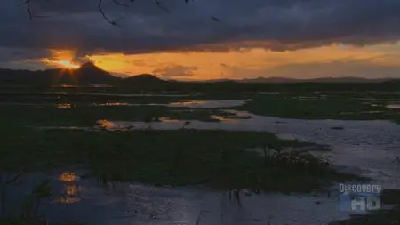 Discovery. Sunrise Earth - 32. Birds of Palo Verde