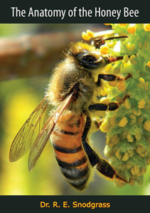 The Anatomy of the Honey Bee, Kindle Edition