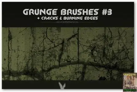Grunge Brushes 3