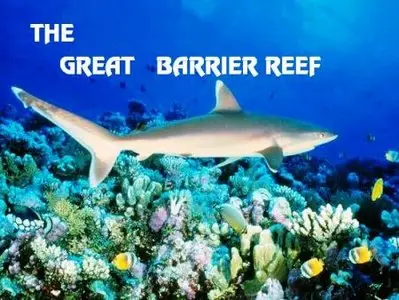 Imax - The Great Barrier Reef