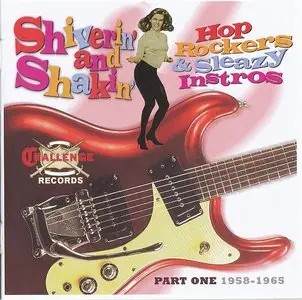 VA - Challenge Records (2 Volumes) (2008)