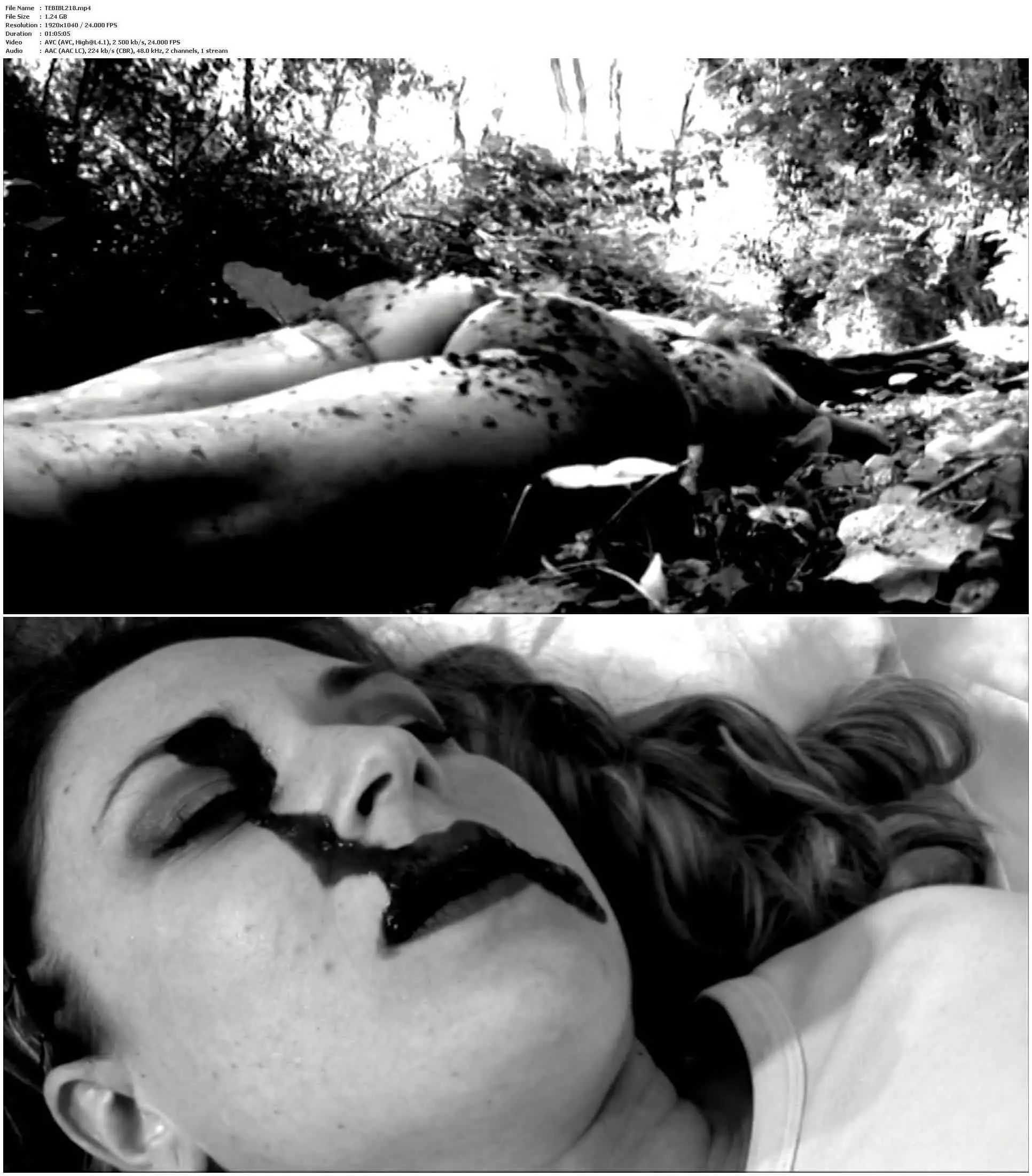 Suffering Bible (2018)