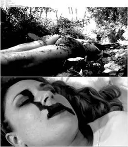 Suffering Bible (2018)