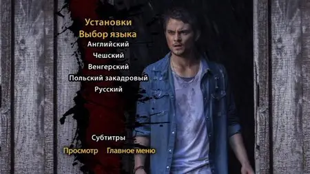 Evil Dead / Зловещие мертвецы: Черная книга (2013)