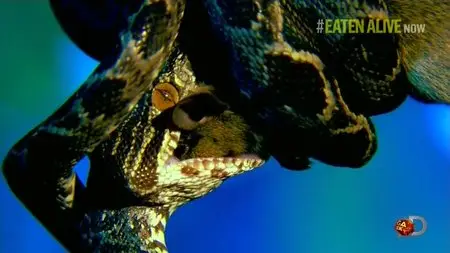 Discovery Channel - Eaten Alive (2014)